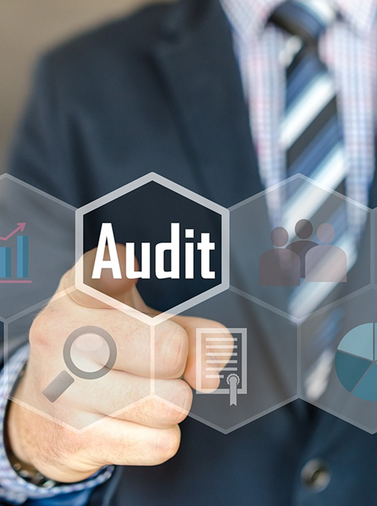 audit graphic image